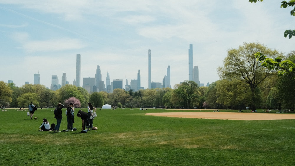 City skyline overlooks a green park with people.