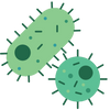 Cell Renewal