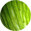 Organic & Whole Microalgae
