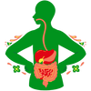 Boosts Immune Function